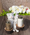 Siberian Snow White Tiger Couple Salt and Pepper Glass Shakers Holder Figurine