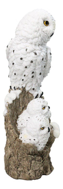Snowy Owl Mother with Two Owlets Family Figurine on Snow-Covered Tree Stump