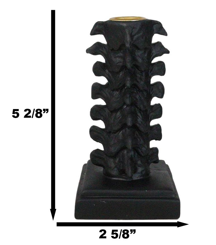 Black Vertebrae Back Bones Spine Skeleton Macabre Taper Candle Holder Figurine