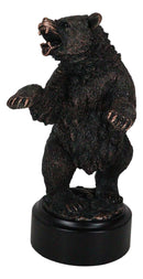 Western Black Bear On Rear Legs Roaring Bronze Electroplated Resin Decor Statue