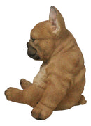 Laid Back Sitting Realistic Adorable French Bulldog Puppy Dog Figurine 7.5"H