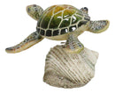 Marine Green Sea Turtle Swimming Over Partridge Tun Shell Spring Bobble Figurine