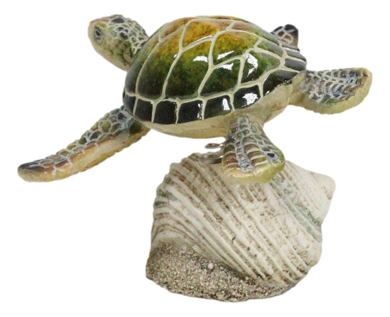 Marine Green Sea Turtle Swimming Over Partridge Tun Shell Spring Bobble Figurine