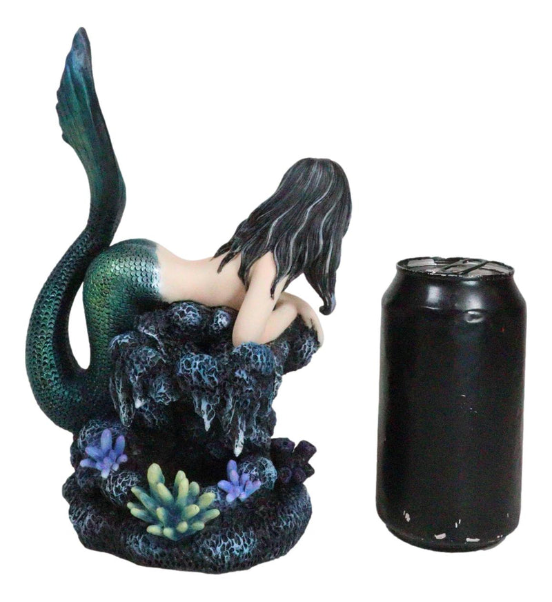 Siren Mermaid With Iridescent Tail And Turtle Companion By Coral Rocks Statue