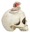 Wicca Gothic Toadstool Mushrooms And Fungi Skull Decorative Trinket Box Figurine