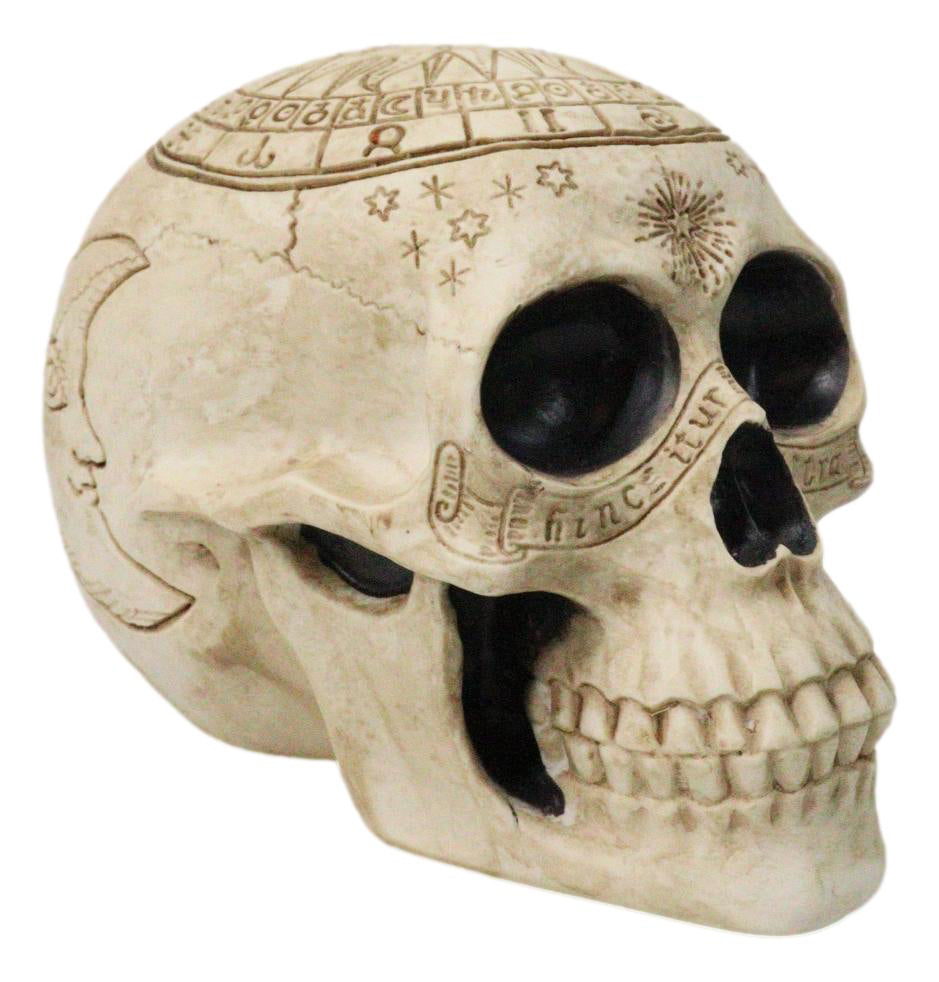 Ebros Gift Astrology Zodiac Skull Figurine Celestial Occult Gothic Decor