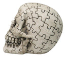Ossuary Macabre Gothic Jointed Jigsaw Puzzle Cranium Skull Figurine 6"L