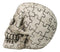 Ossuary Macabre Gothic Jointed Jigsaw Puzzle Cranium Skull Figurine 6"L
