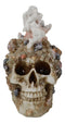 Marine Sea Explorer The Great Barrier Coral Reef Shells And Rocks Skull Figurine