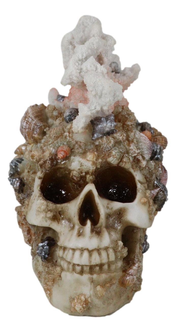 Marine Sea Explorer The Great Barrier Coral Reef Shells And Rocks Skull Figurine