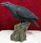 Ebros Large 14" Long Gothic Raven Crow Perching On Tree Stump Statue Figurine