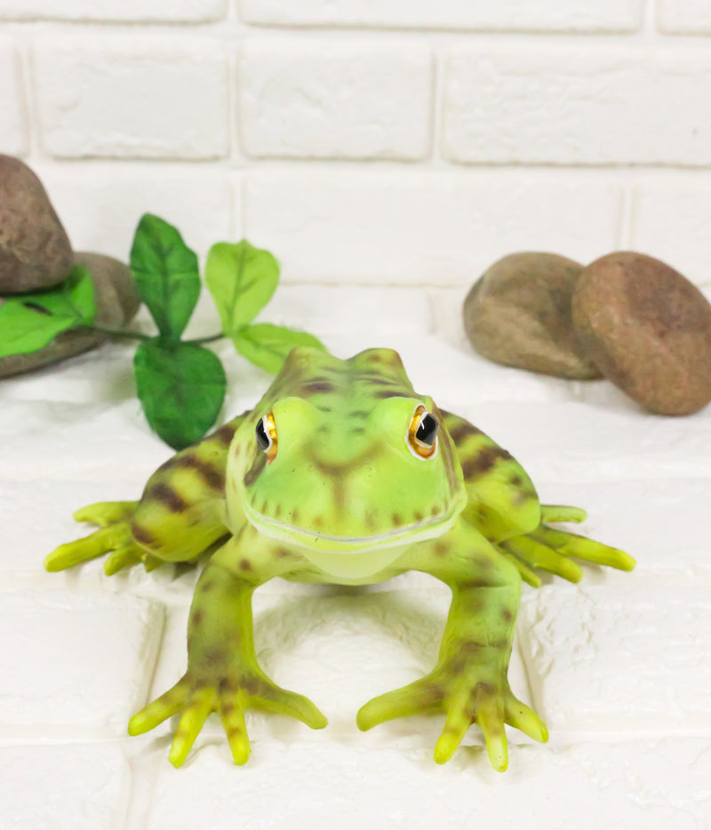 Amphibian Wild Creatures Realistic Green Frog Decorative Figurine