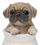 Realistic Puggy Pug Puppy Dog Figurine With Glass Eyes Pup In Pot Collection