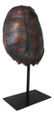 Nautical Marine Faux Alligator Snapping Turtle Shell Sculpture With Pole Stand