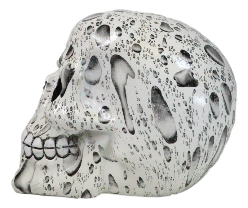 Day of The Dead Raindrops Water Droplets Scene Gothic Skull Figurine Skeleton