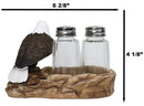 Wild Heritage Bald Eagle On Rock Southwestern Symbol Salt & Pepper Shaker Holder