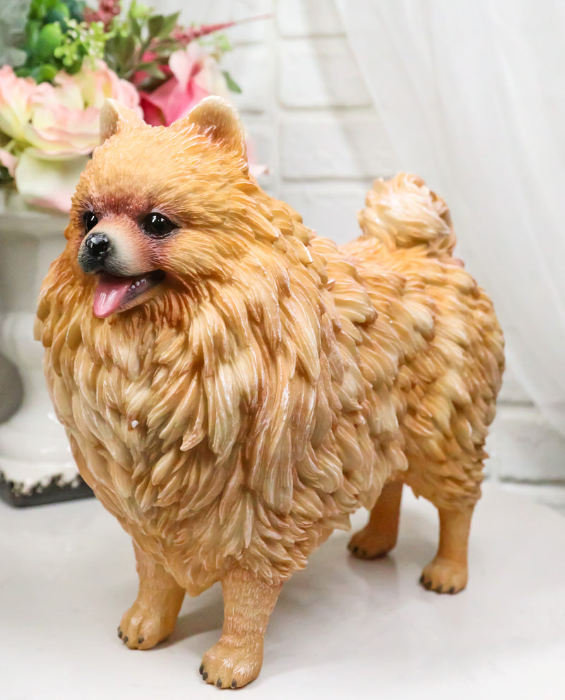 Lifelike Adorable Pet Pal Pomeranian Puppy Dog Standing Figurine