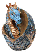 Metallic Bronze and Blue Azure Dragon Hatchling in Dragon Scales Egg Figurine