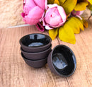 Brown Textured Surface Japanese Tetsubin Style Cast Iron Mini Tea Cups Set of 4