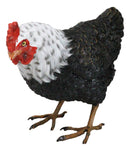 Rustic Western Country Iowa Blue Spotted White Breast Rooster Chicken Figurine