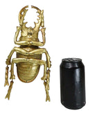 Medium Gold Resin Great Stag Horned Beetle Wall Decor Or Tabletop Figurine