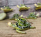 Set Of 6 Green Mother and Baby Sea Turtles Marine Wall Decor Tree Ornaments