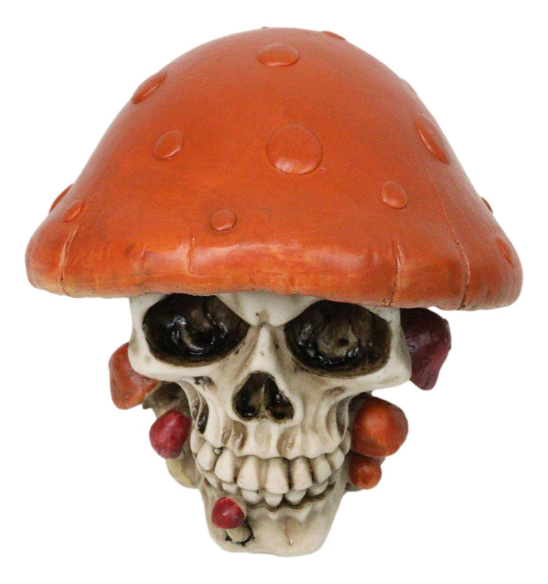 Brown Macabre Toadstool Mushroom Cap Skull With Mini Fungi Figurine 5" L