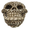 Ossuary Graveyard Skulls And Bones Ghoulish Skull Face Decorative Trinket Box