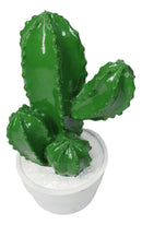 Southwest Desert Plains Whimsical Green Aloe Cactus Money Savings Piggy Bank