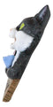 Whimsical Crazy For Cats Feline Kitty Black Cat Play Door Or Wall Hanging Sign
