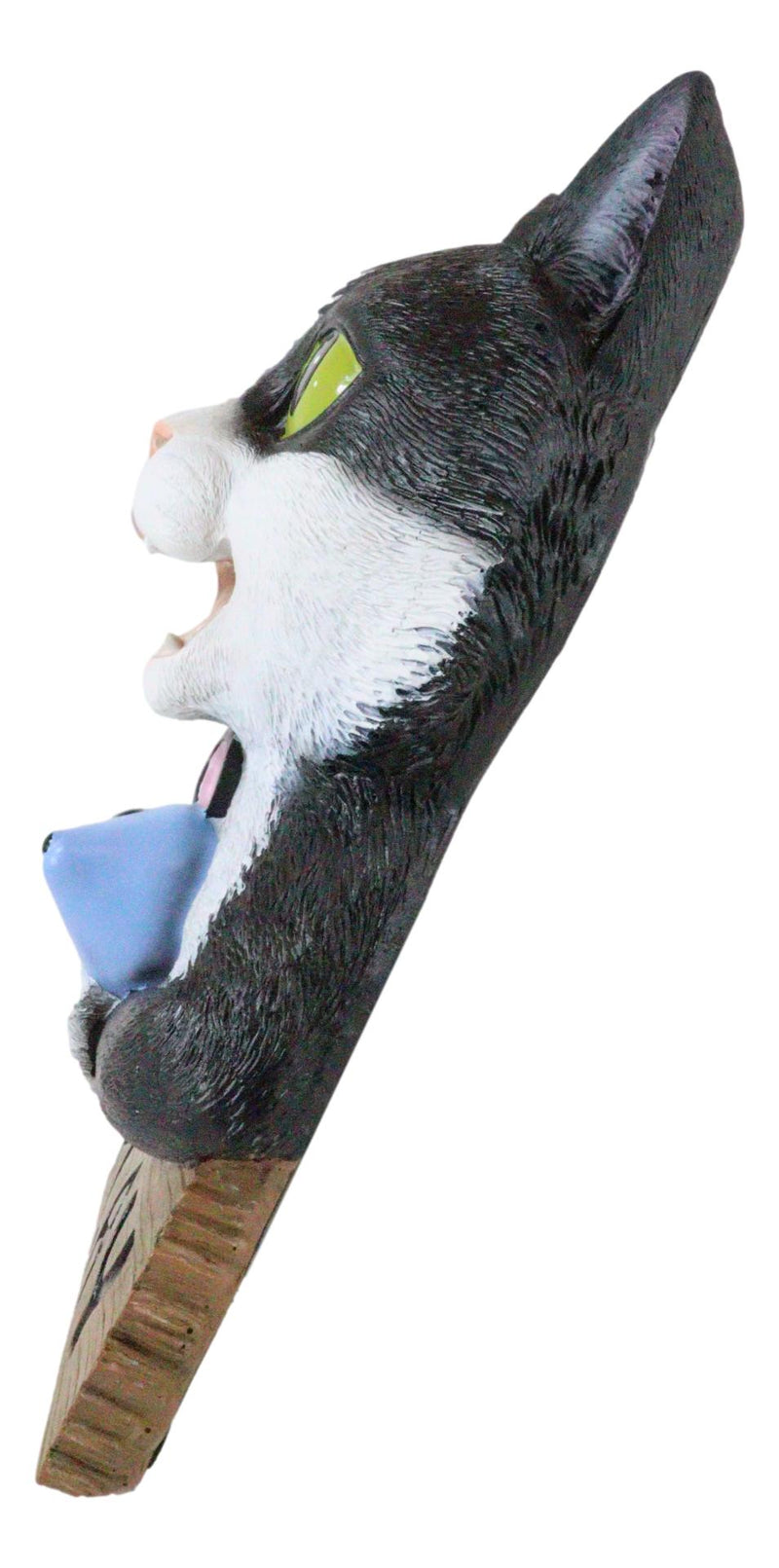 Whimsical Crazy For Cats Feline Kitty Black Cat Play Door Or Wall Hanging Sign