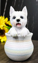 West Highland White Terrier Westie Puppy Dog Figurine With Glass Eyes Pup In Pot