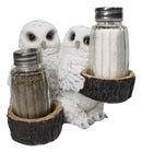 Wildlife Birds White Snowy Owl Couple Salt and Pepper Glass Shakers Holder