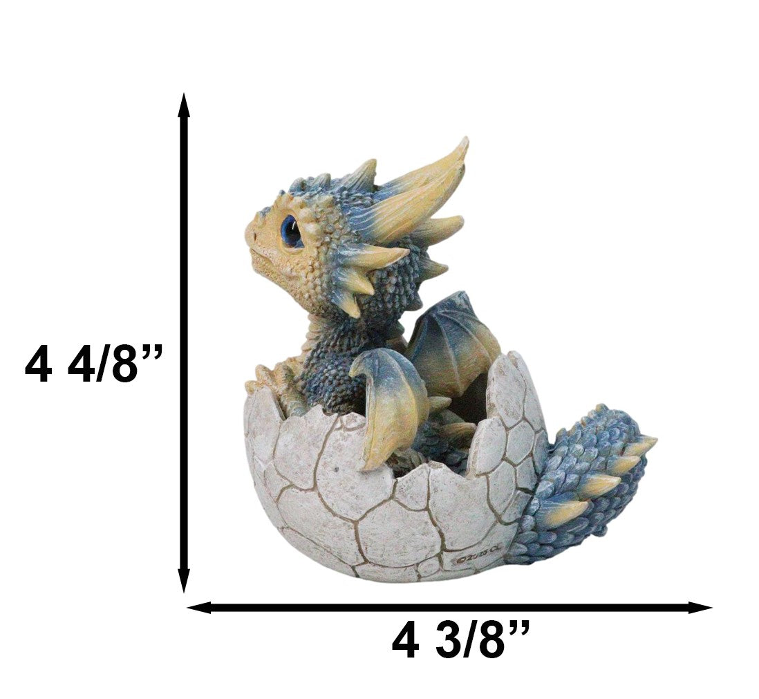 Ebros Pastel Blue Dragon Hatchling in Cracked Egg Fantasy Figurine, 4.5"