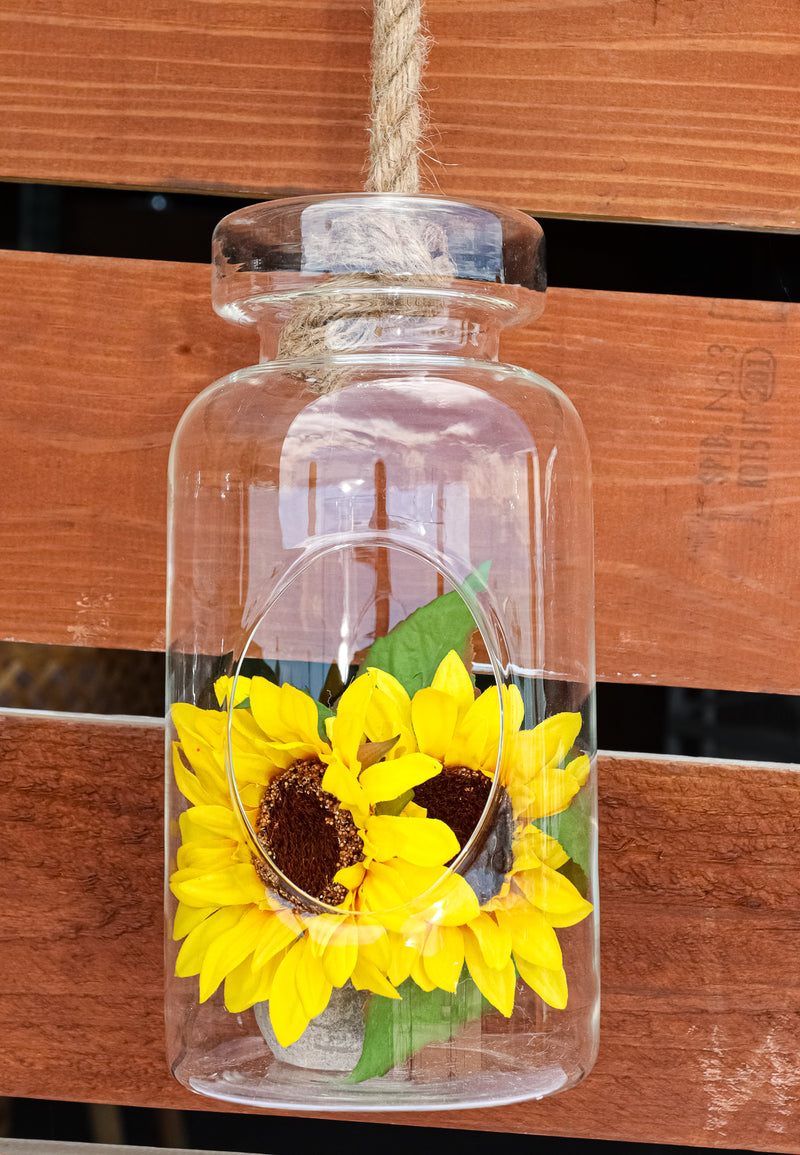 Farmhouse Rustic Country Hanging 11" H Glass Bottle Terrarium With Jute Strings