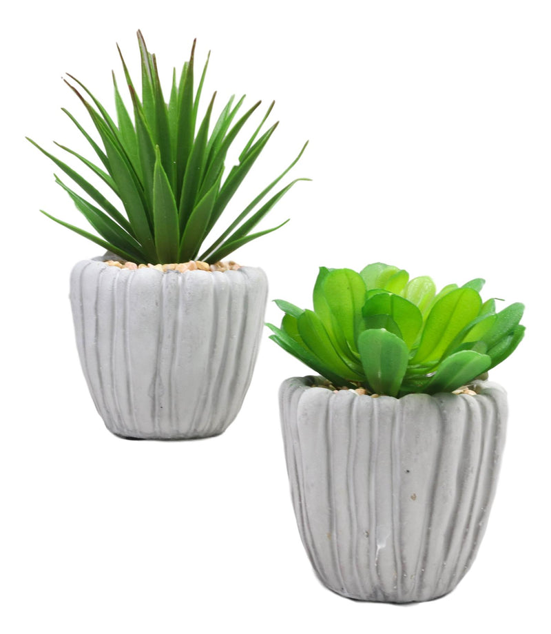 Set Of 3 Realistic Artificial Botanica Fern Succulents Plant In Grey Cement Pots