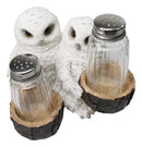 Wildlife Birds White Snowy Owl Couple Salt and Pepper Glass Shakers Holder