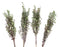 Set of 6 Realistic Artificial Botanica Shrubs Faux Plants Fern Grass Leaf Stems