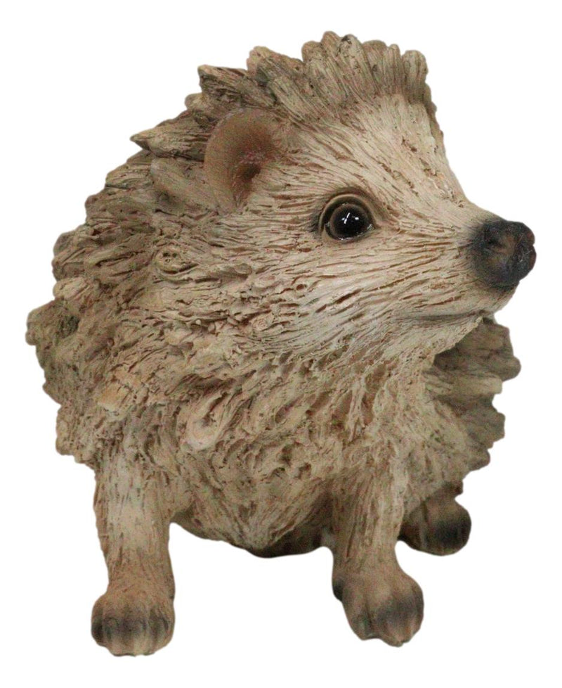 Realistic Faux Driftwood Finish Wild Spiny Mammal Hedgehog Animal Figurine 9"L