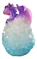 Whimsical Cute Purple Baby Dragon Hatchling in LED Crystal Icicles Egg Figurine