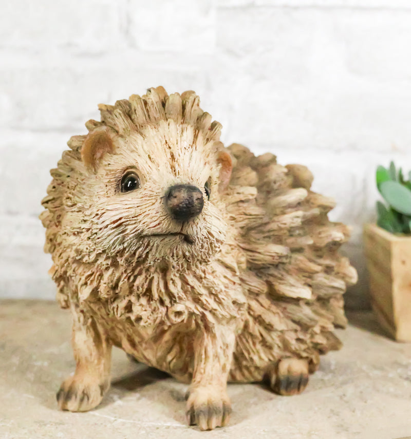 Realistic Faux Driftwood Finish Wild Spiny Mammal Hedgehog Animal Figurine 9"L