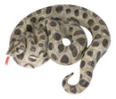 Realistic Ferocious Coiled Boa Snake Hand Painted Taxidermy Statue 17"L