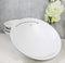 Pack Of 4 Ceramic Yukino Hana Collection Large Ramen Soup Dinner Bowls 36oz
