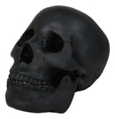 Macabre Goth Ghost Black Homosapien Replica Skull With Movable Jaw Bone Figurine