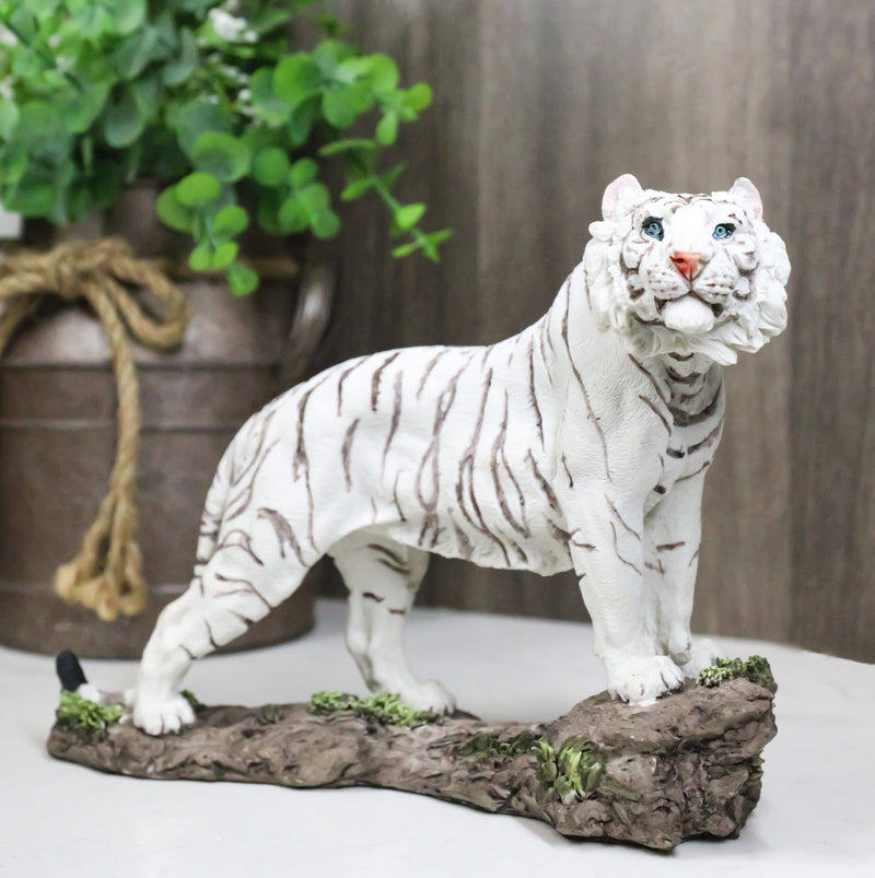 Apex Jungle Predator Prowling Fierce Siberian White Bengal Tiger Figurine