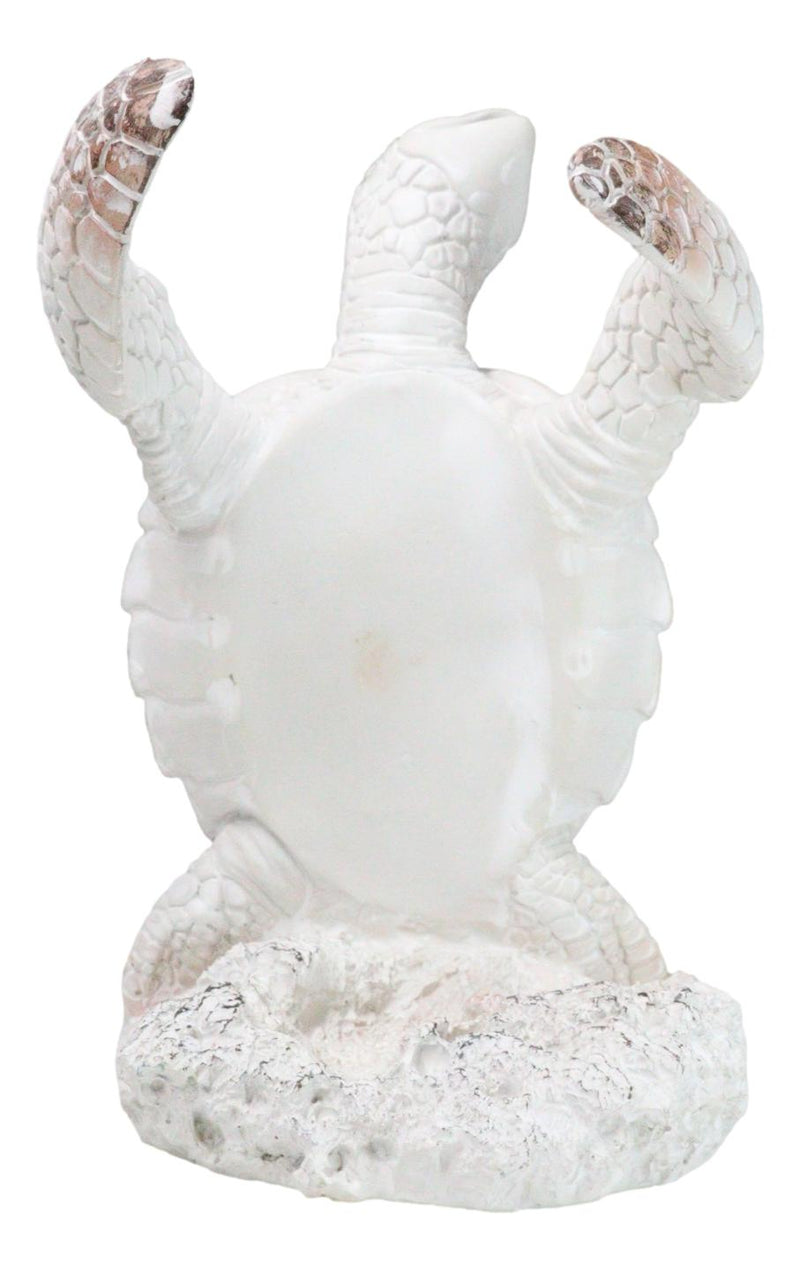 Nautical Marine Distressed Antique White Sea Turtle Wine Bottle Holder Figurine