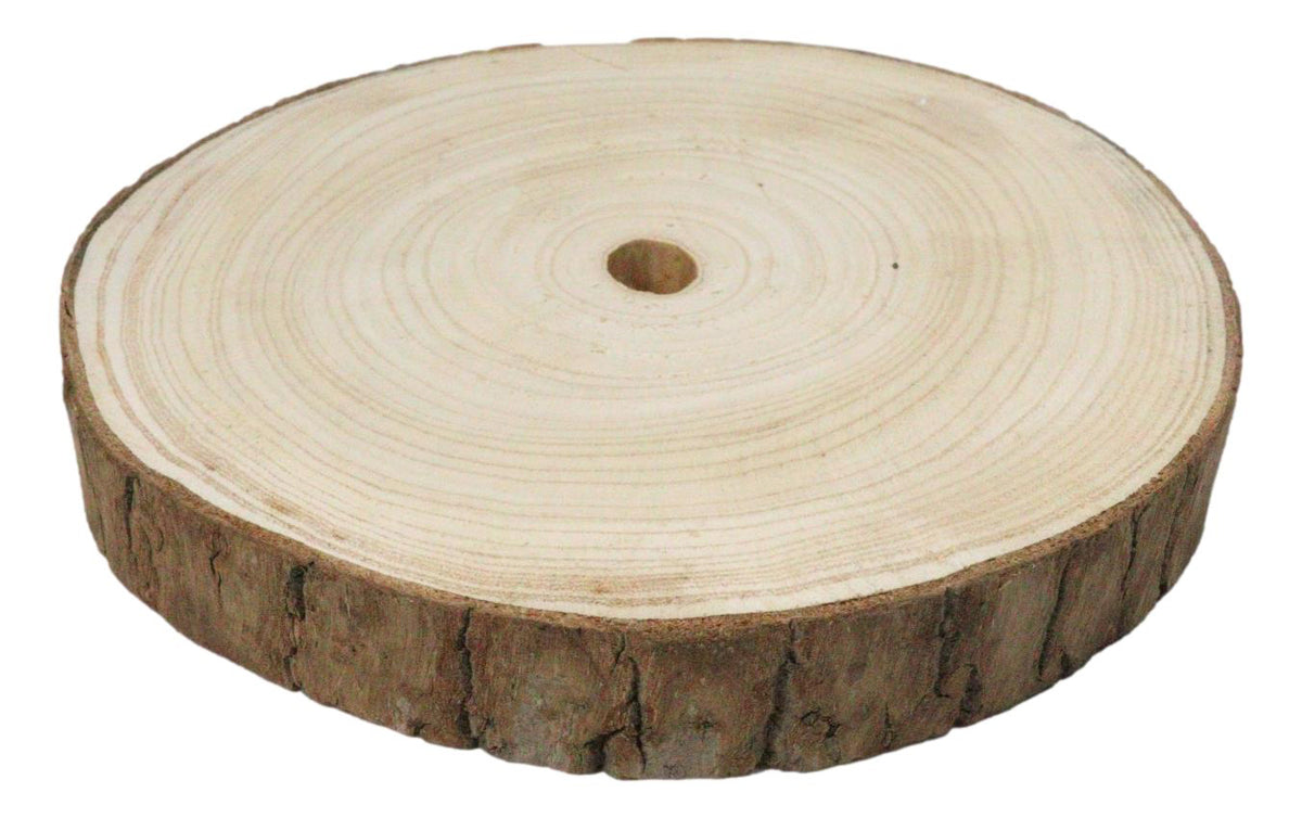 Pack Of 4 Unfinished Natural Wood Slices With Bark 8.25"D DIY Arts And Crafts
