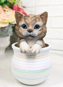 Lifelike Feline Kitty Brown Tabby Cat Blue Eyes In Pastel Artsy Pot Figurine