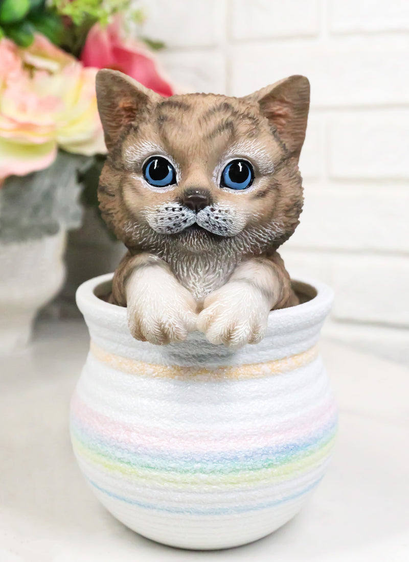 Lifelike Feline Kitty Brown Tabby Cat Blue Eyes In Pastel Artsy Pot Figurine