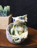 Adorable Green Baby Dragon Hatchling Cracking Out of Egg Shell Figurine 4"H